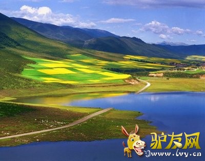 青海湖4.jpg
